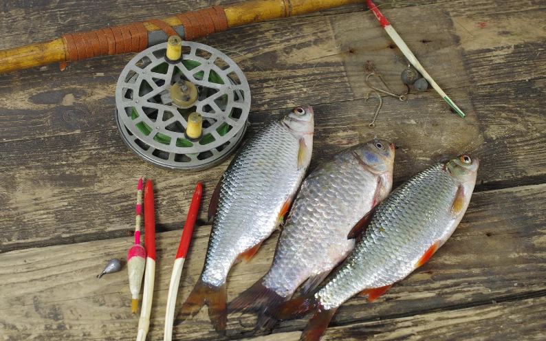 Аксессуары для спининговой рыбалки купить в Украине (цены, фото) Fishing one